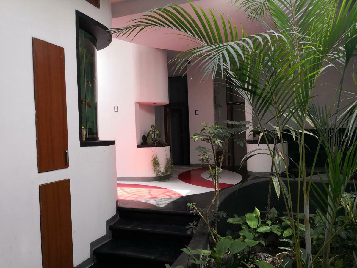 Apartments And Rooms Distecon Guatemala City Exterior photo