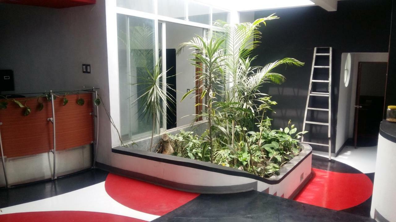 Apartments And Rooms Distecon Guatemala City Exterior photo